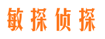 精河市私家侦探